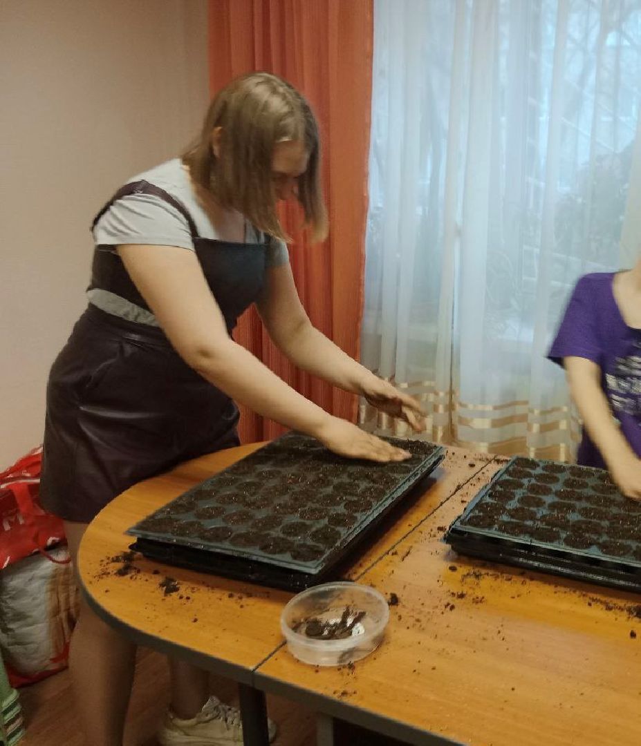 Город-сад, волонтёры, рассада, Бах, Шопен