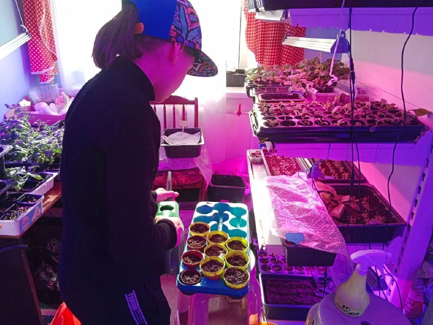 Город-сад, волонтёры, рассада, Бах, Шопен