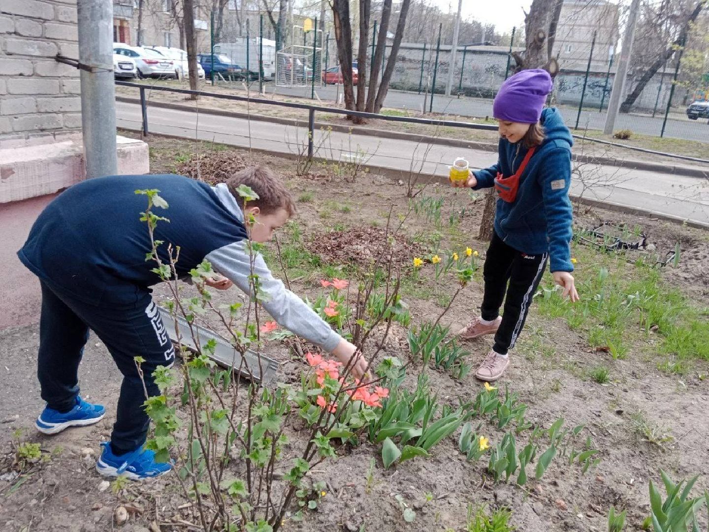 Город-сад, волонтёры, рассада, Бах, Шопен