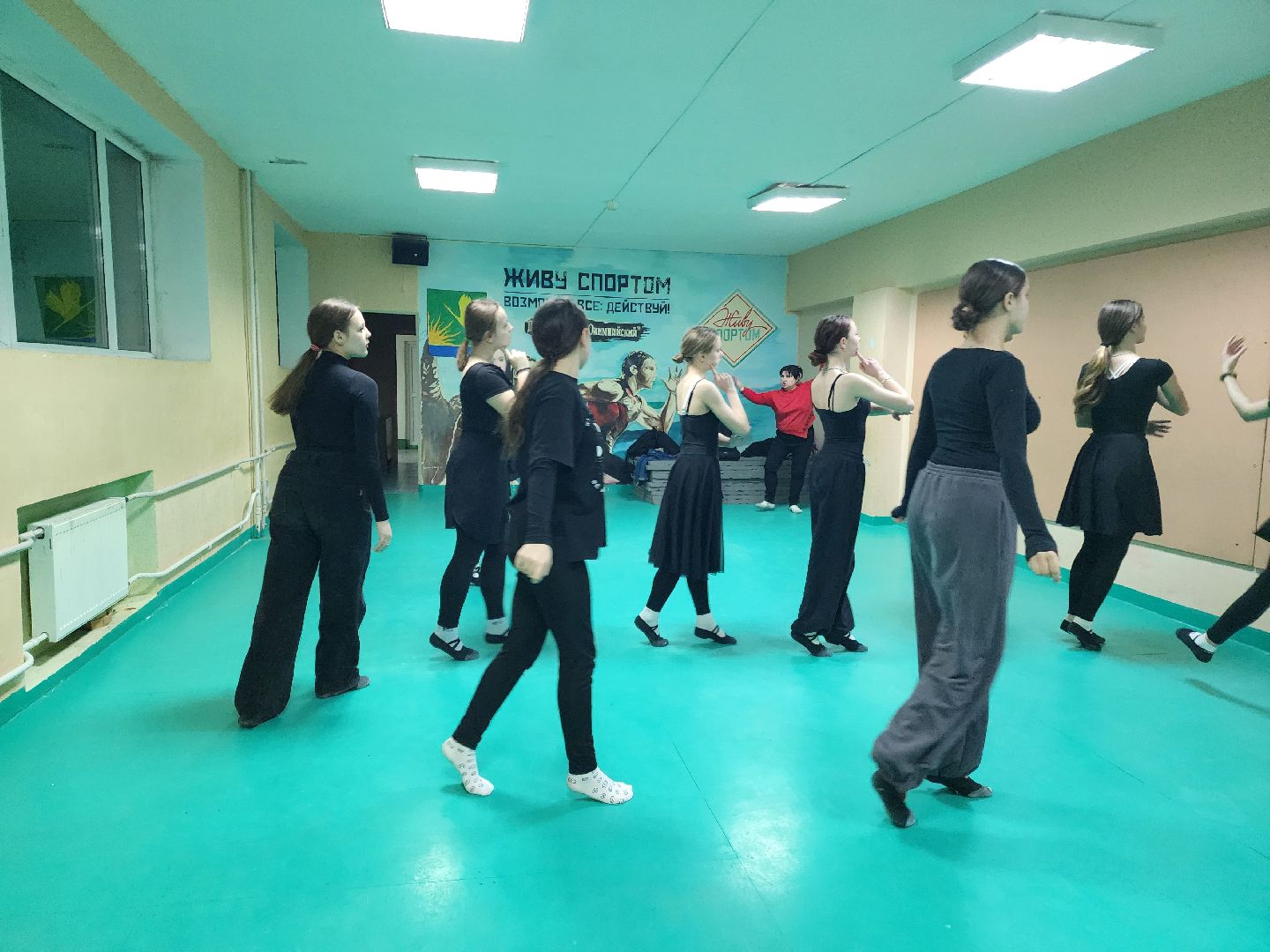 хореография, танцевальный ансамбль, вернисаж, шатура,