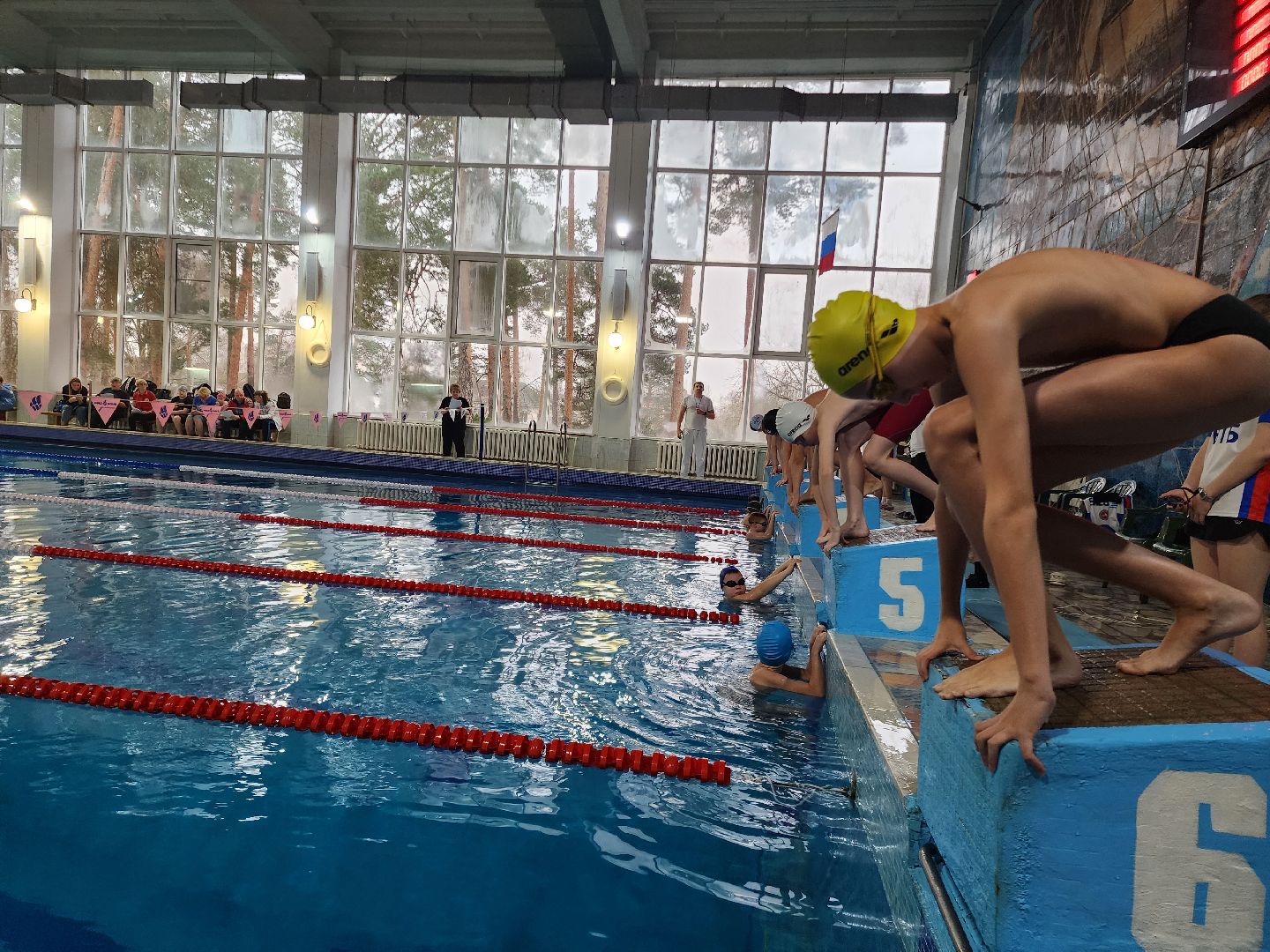 верикалки, дети, плавание, восточное подмосковье, турнир, шатура,