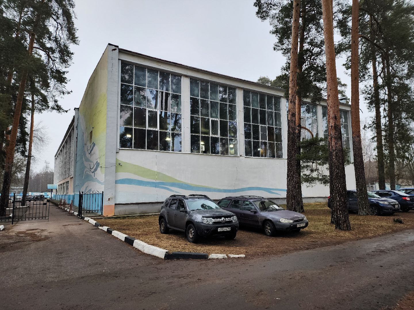 верикалки, дети, плавание, восточное подмосковье, турнир, шатура,