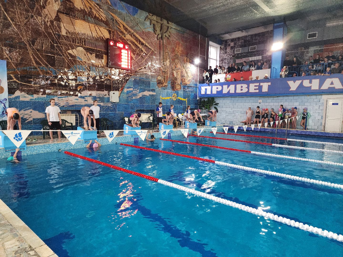 верикалки, дети, плавание, восточное подмосковье, турнир, шатура,