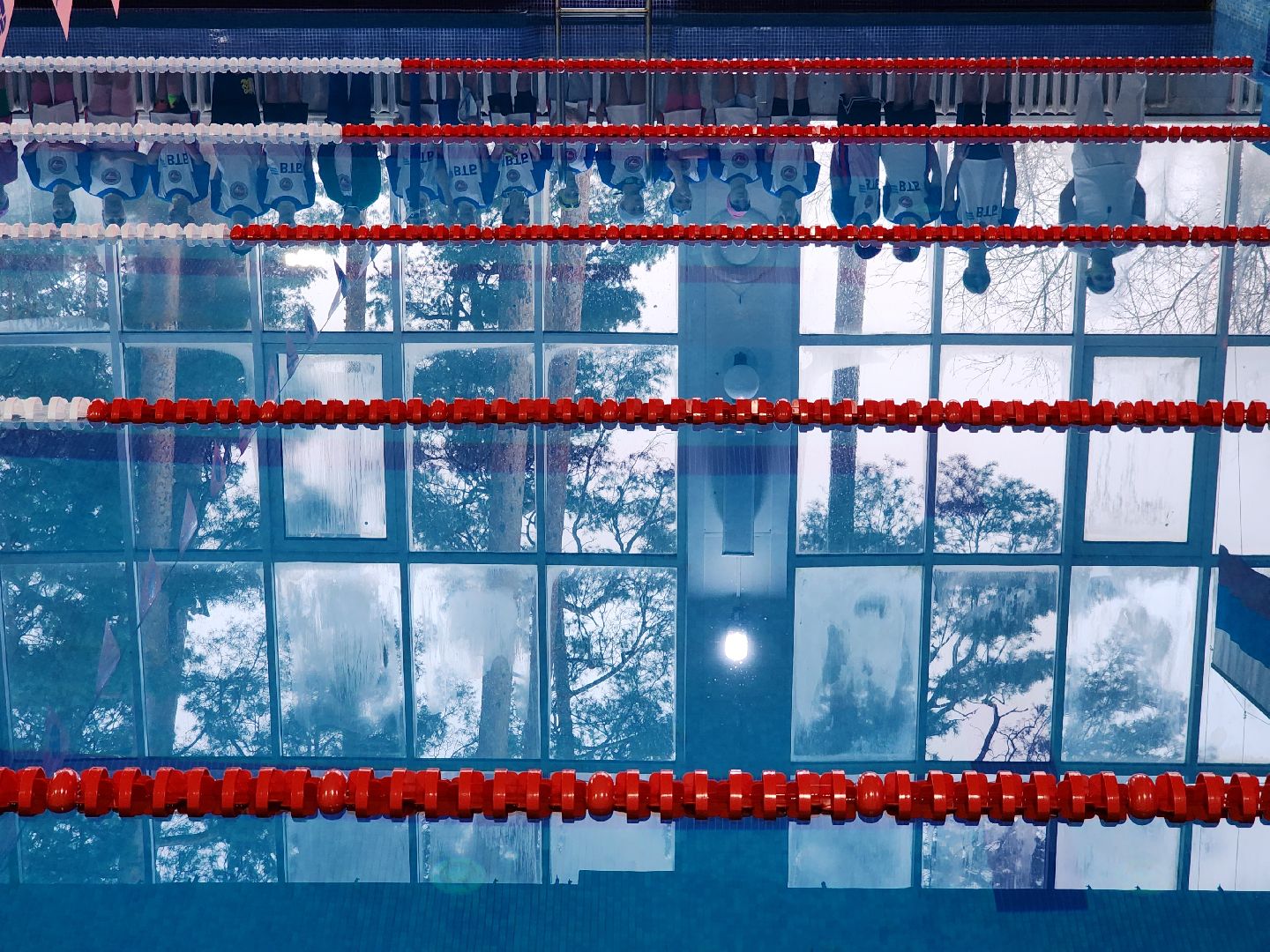 верикалки, дети, плавание, восточное подмосковье, турнир, шатура,