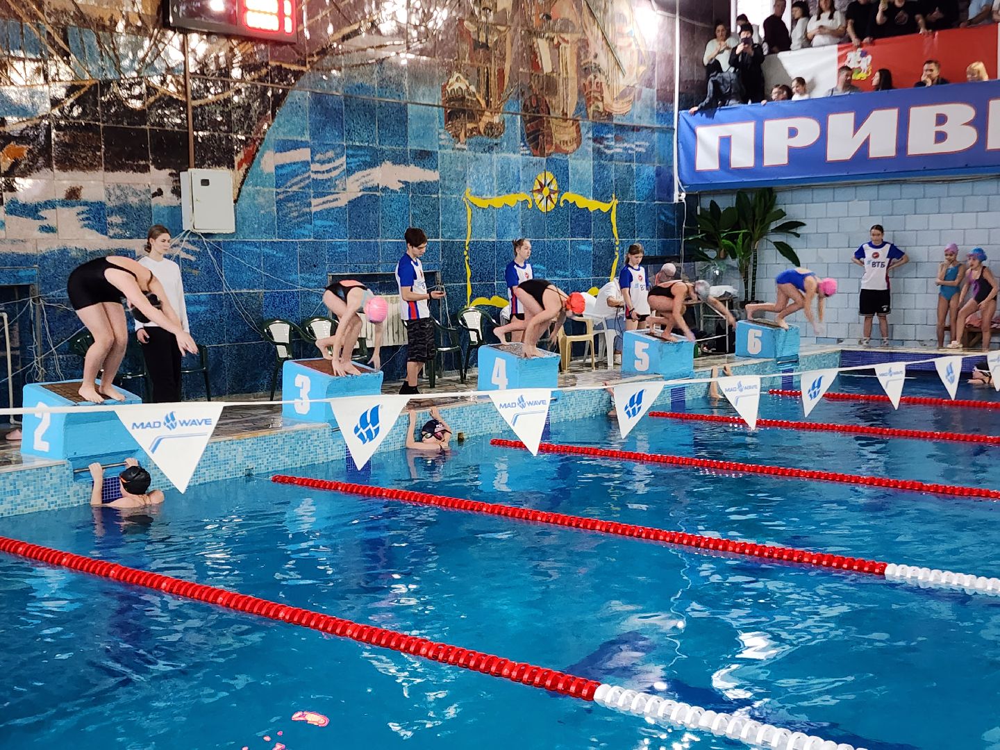 верикалки, дети, плавание, восточное подмосковье, турнир, шатура,