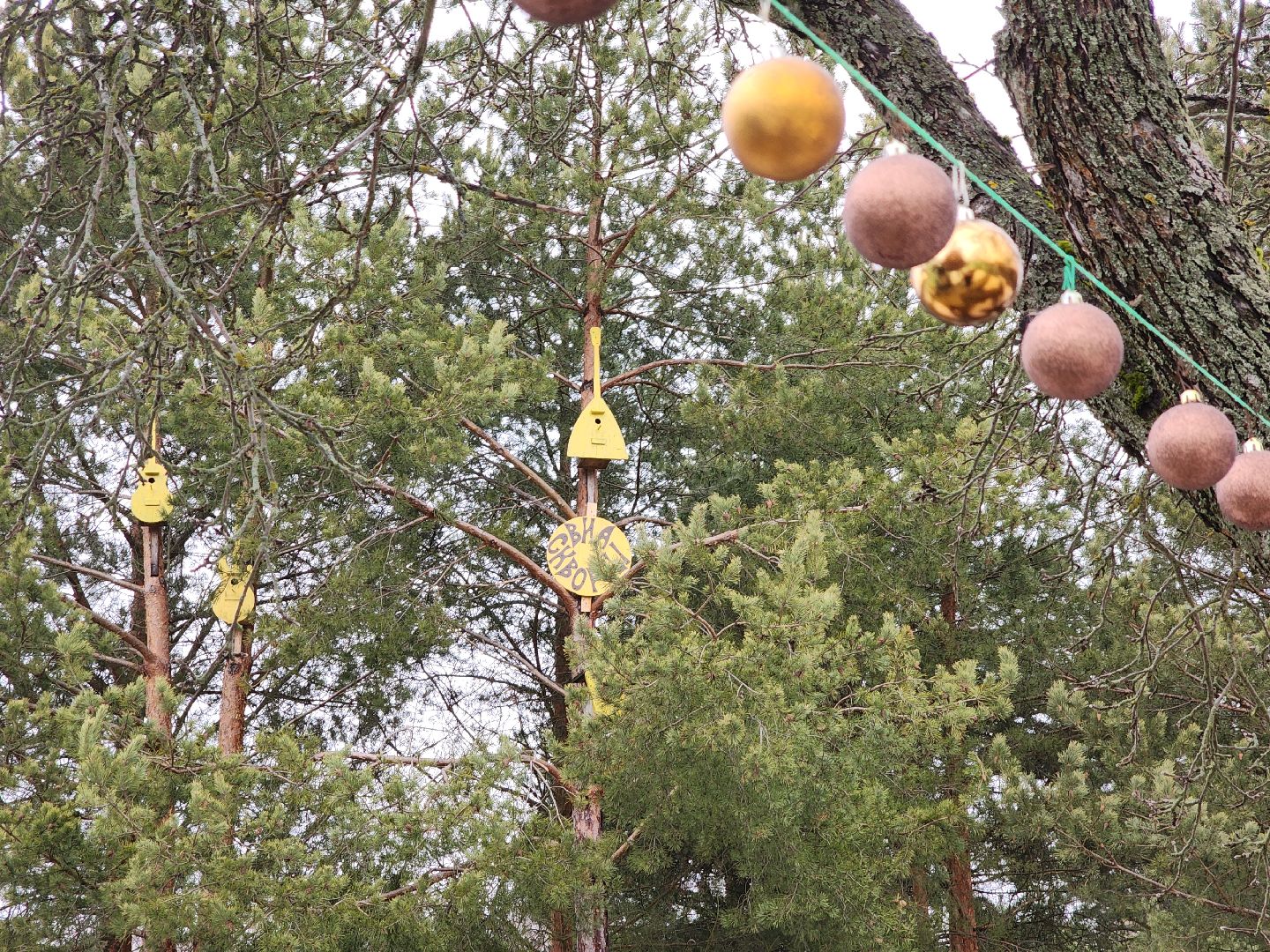 вертикалки, мастер, орехово-зуевский округ, скворечники, дерево, творчество,