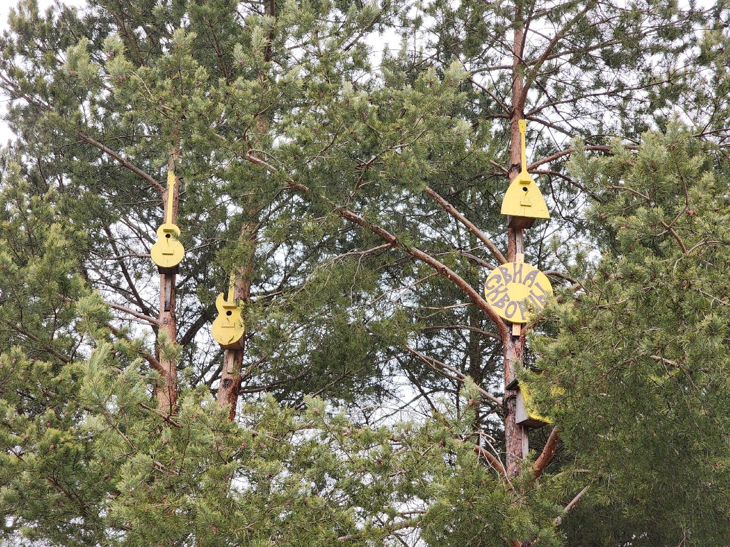 вертикалки, мастер, орехово-зуевский округ, скворечники, дерево, творчество,