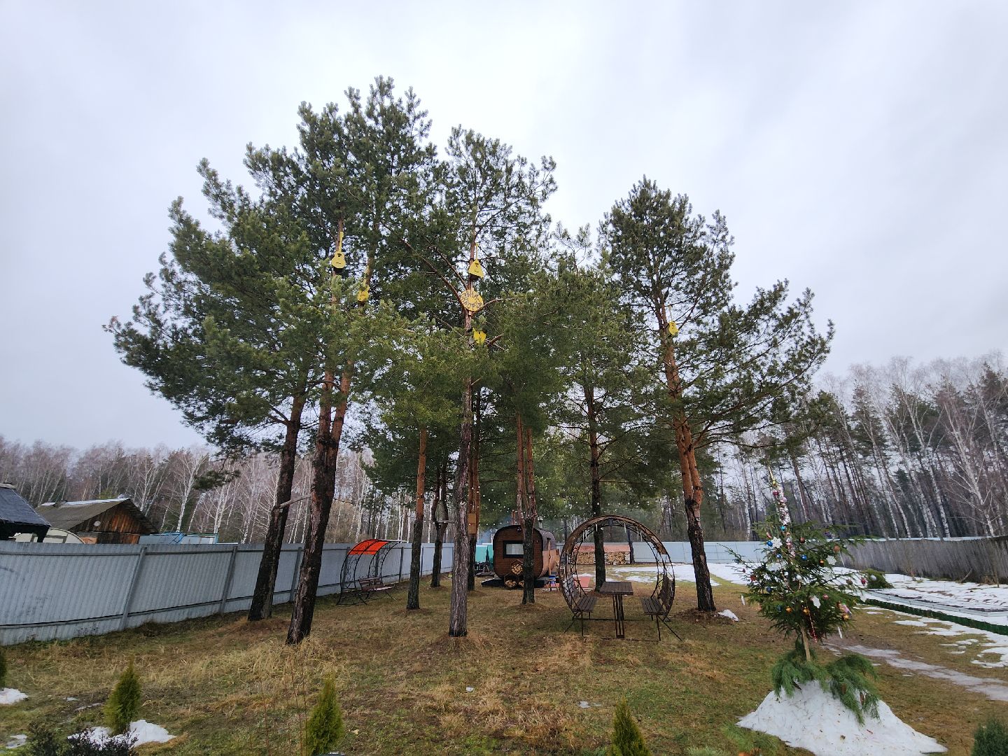 вертикалки, мастер, орехово-зуевский округ, скворечники, дерево, творчество,