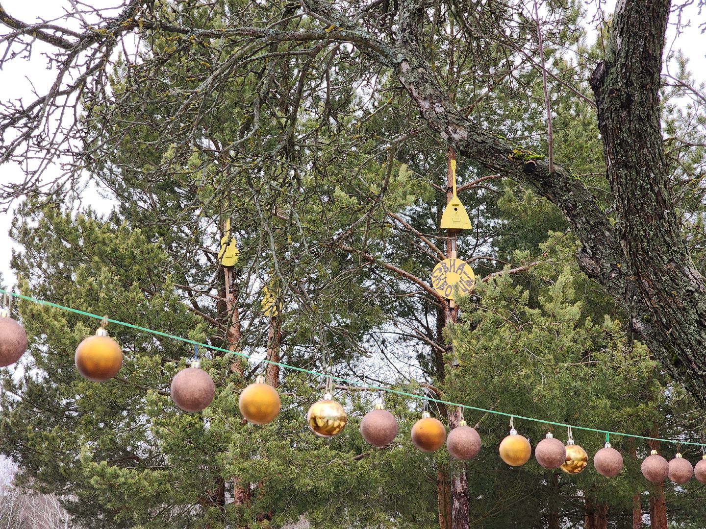 вертикалки, мастер, орехово-зуевский округ, скворечники, дерево, творчество,