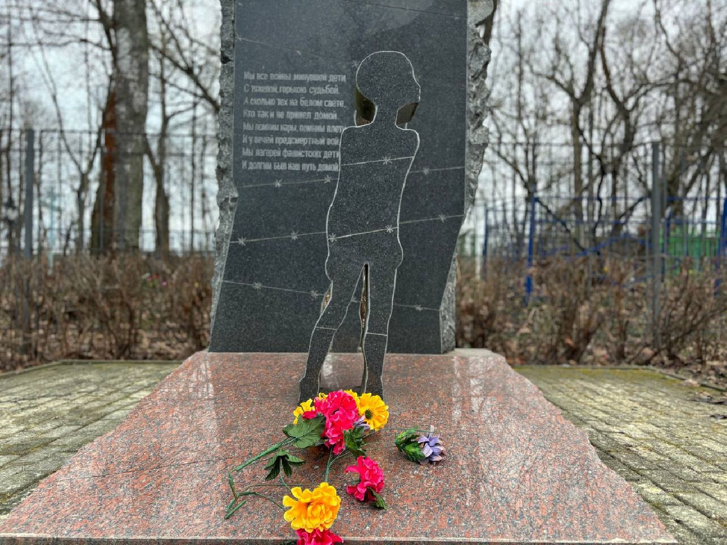 воскресенск, волонтеры, памятник вов,