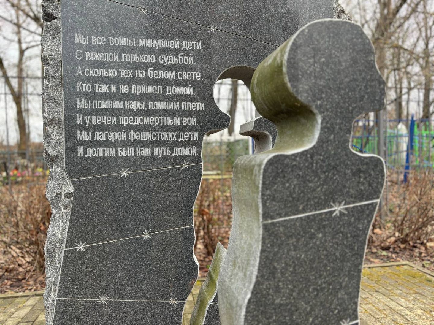 воскресенск, волонтеры, памятник вов,