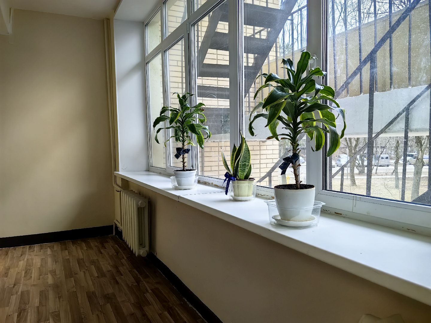 ремонт, подъезд, дом, стены, полы, вертикалки,