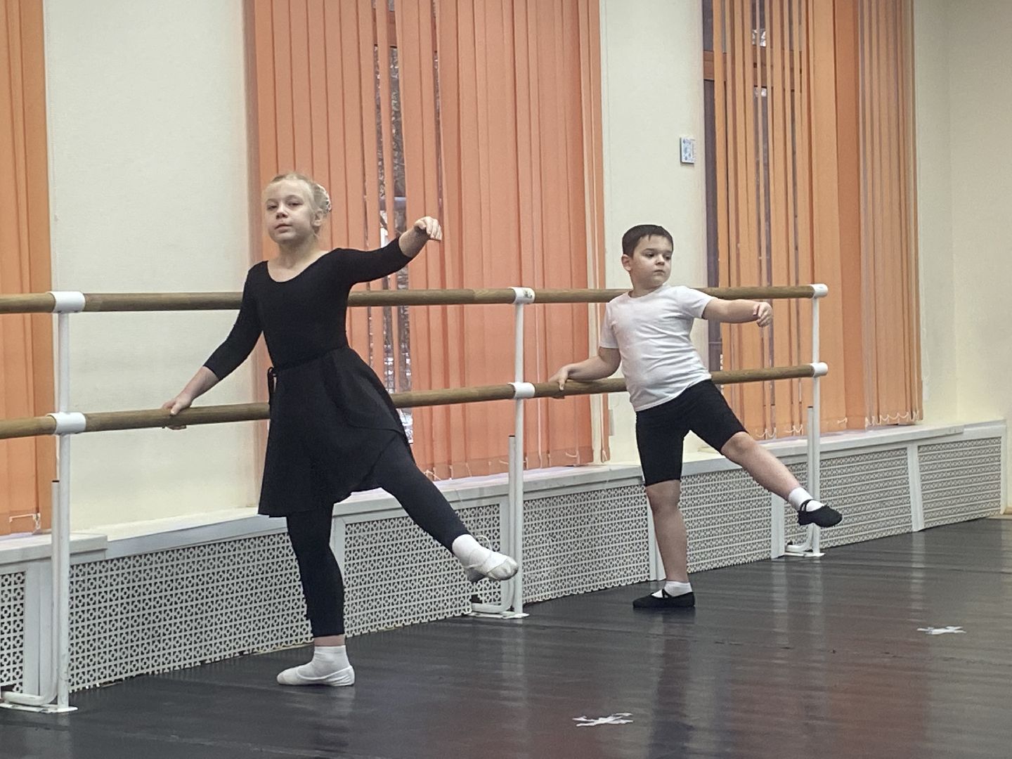 вертикалки, ДШИ Гармония, дши гармония власиха, Власиха школа искусств, коллектив Росток Власиха, Власиха Росток,