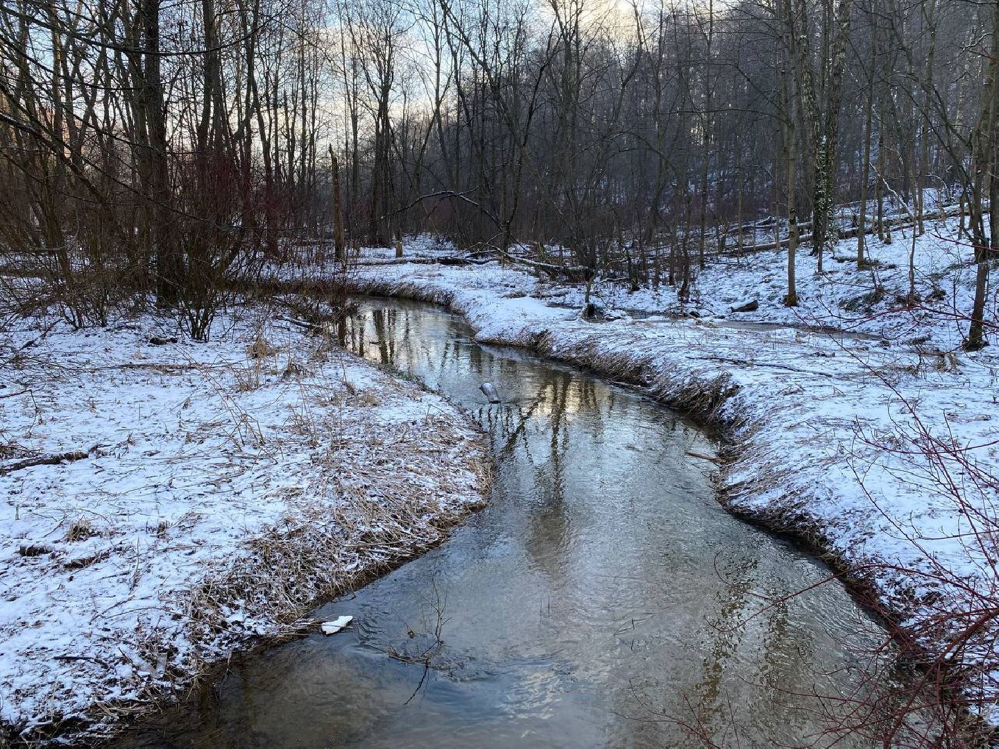 вертикалки, опалиховскийлесопарк, опалиха,