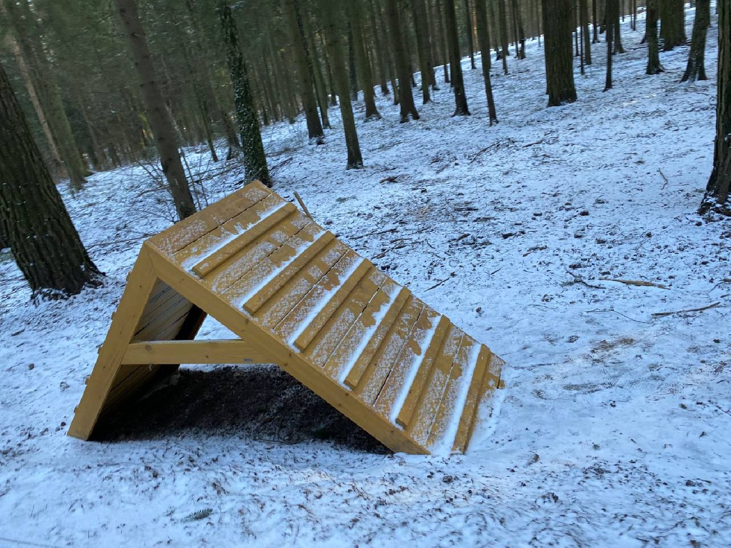 вертикалки, опалиховскийлесопарк, опалиха,