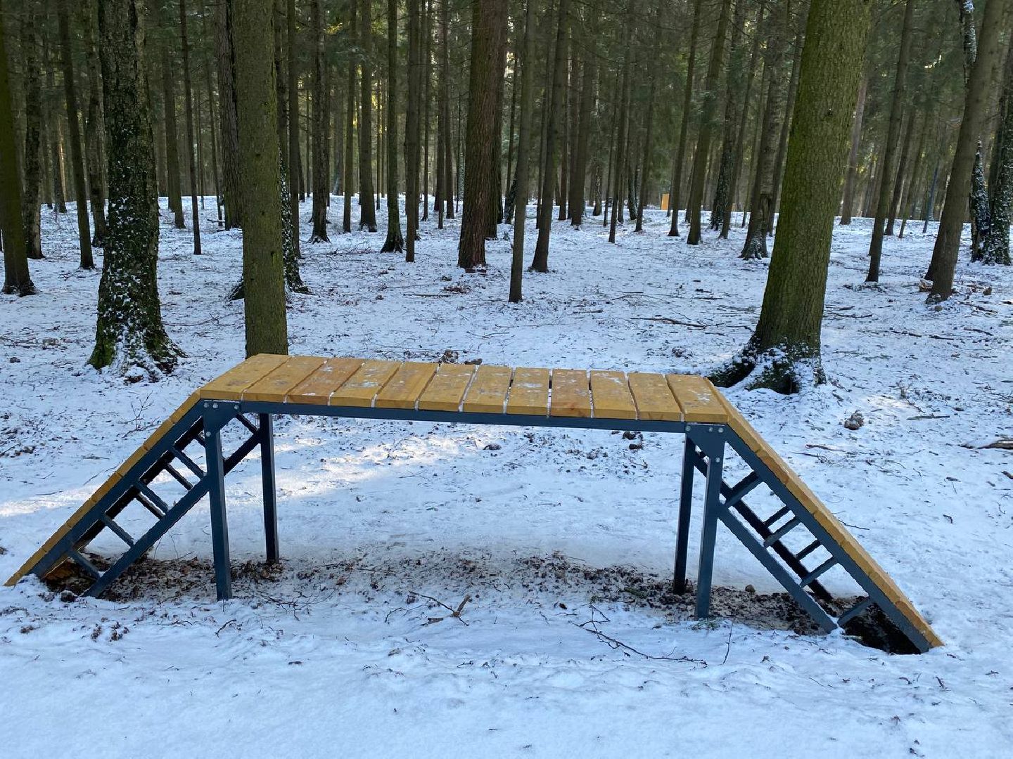 вертикалки, опалиховскийлесопарк, опалиха,