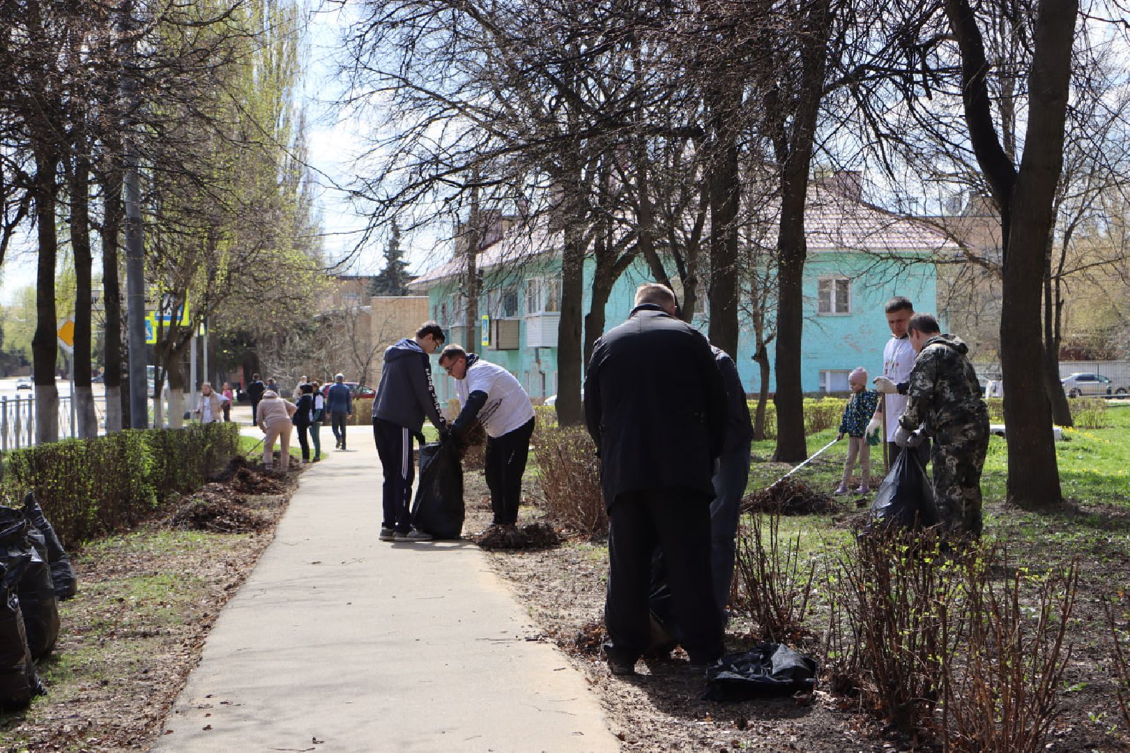 субботник, Серебряные Пруды, уборка города