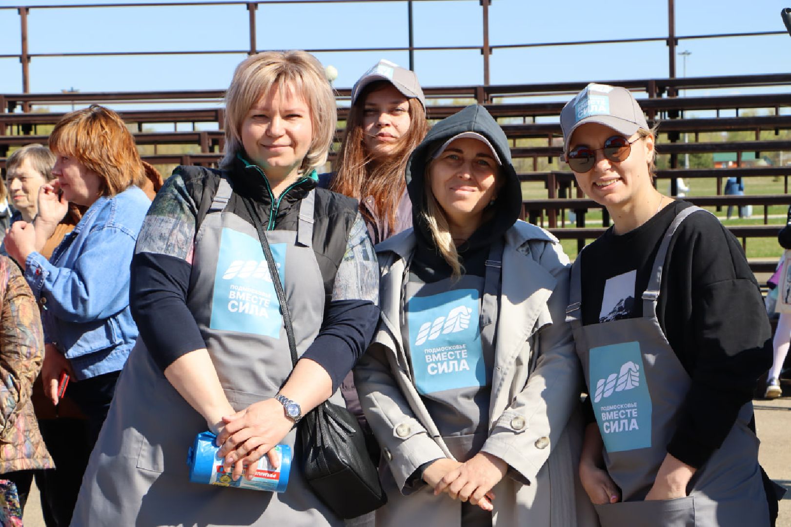 субботник, Серебряные Пруды, уборка города