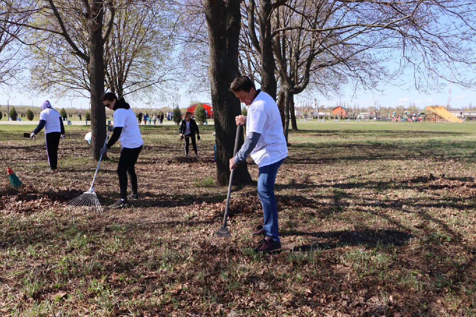 субботник, Серебряные Пруды, уборка города
