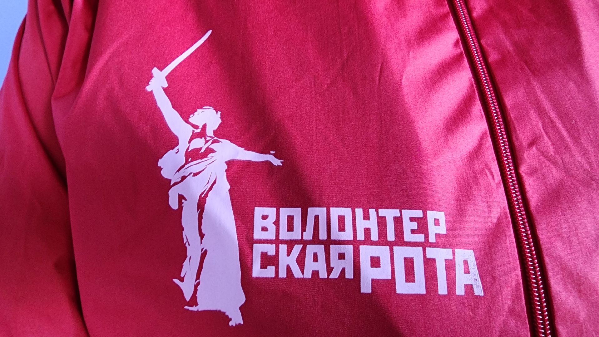 вертикалки, Бронницы, Молодеж, Волонтерская рота,