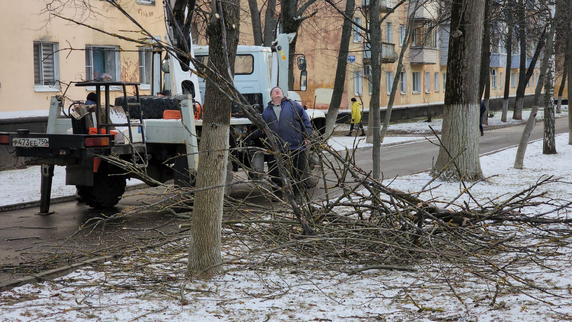ступино, санитарная обрезка деревьев, благоустройство, вертикалки,