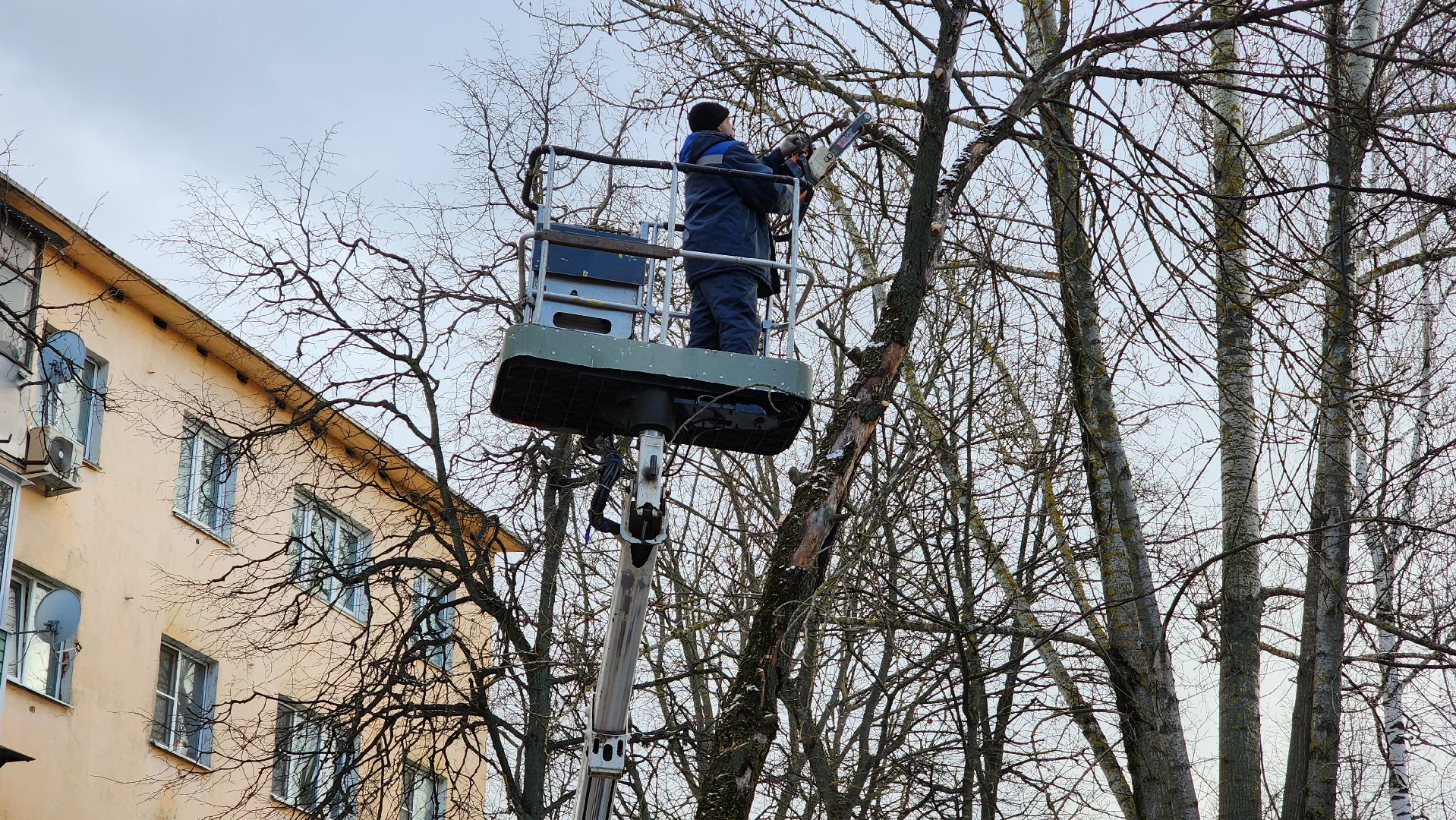 ступино, санитарная обрезка деревьев, благоустройство, вертикалки,
