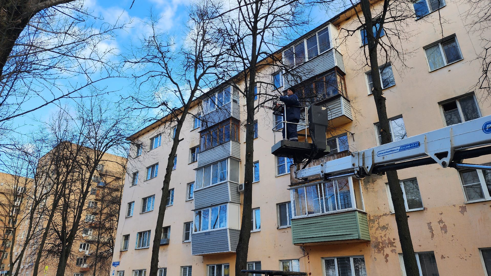 ступино, санитарная обрезка деревьев, благоустройство, вертикалки,