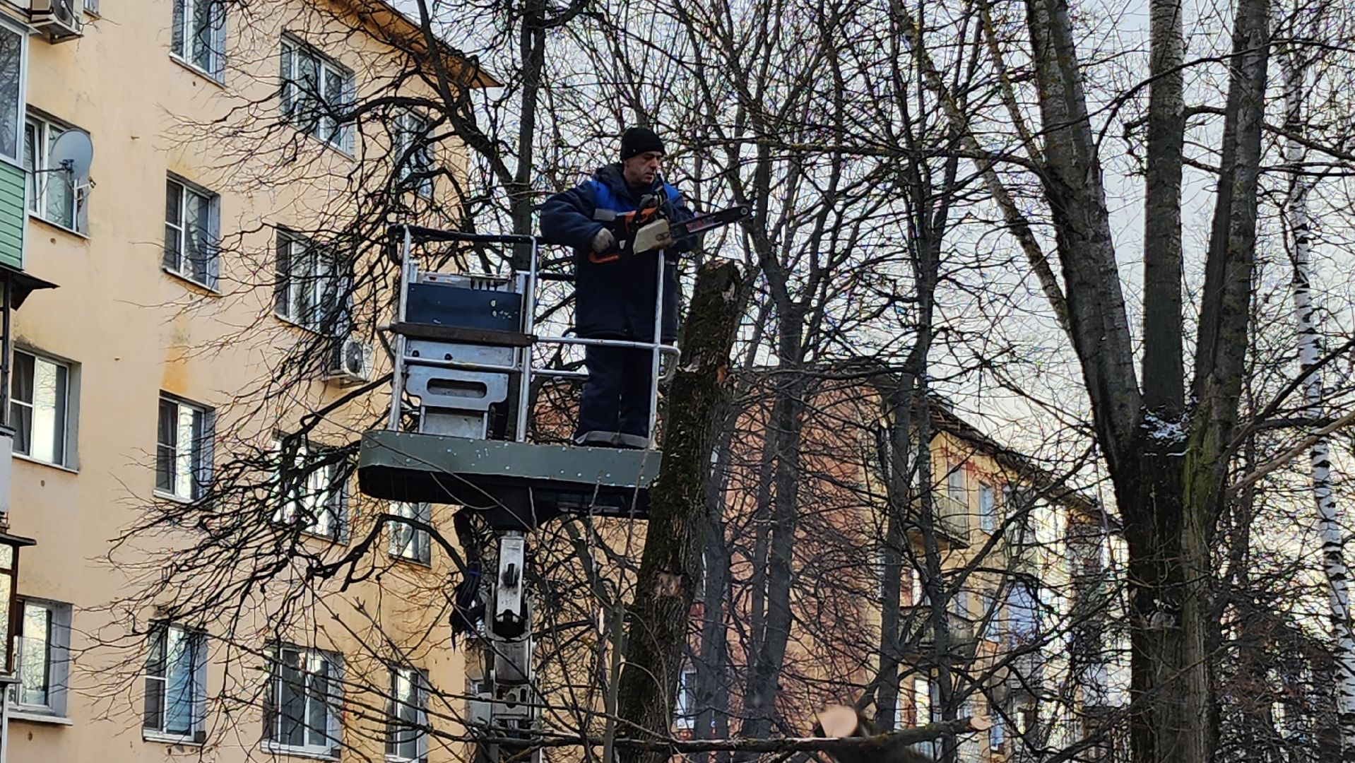 ступино, санитарная обрезка деревьев, благоустройство, вертикалки,