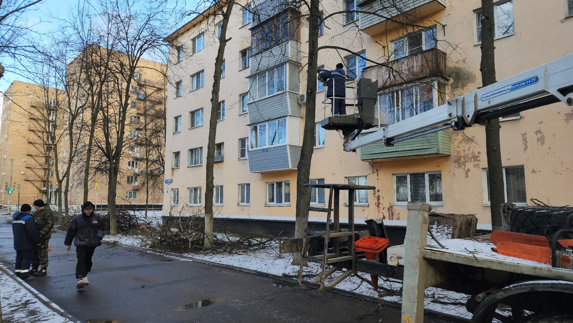 ступино, санитарная обрезка деревьев, благоустройство, вертикалки,