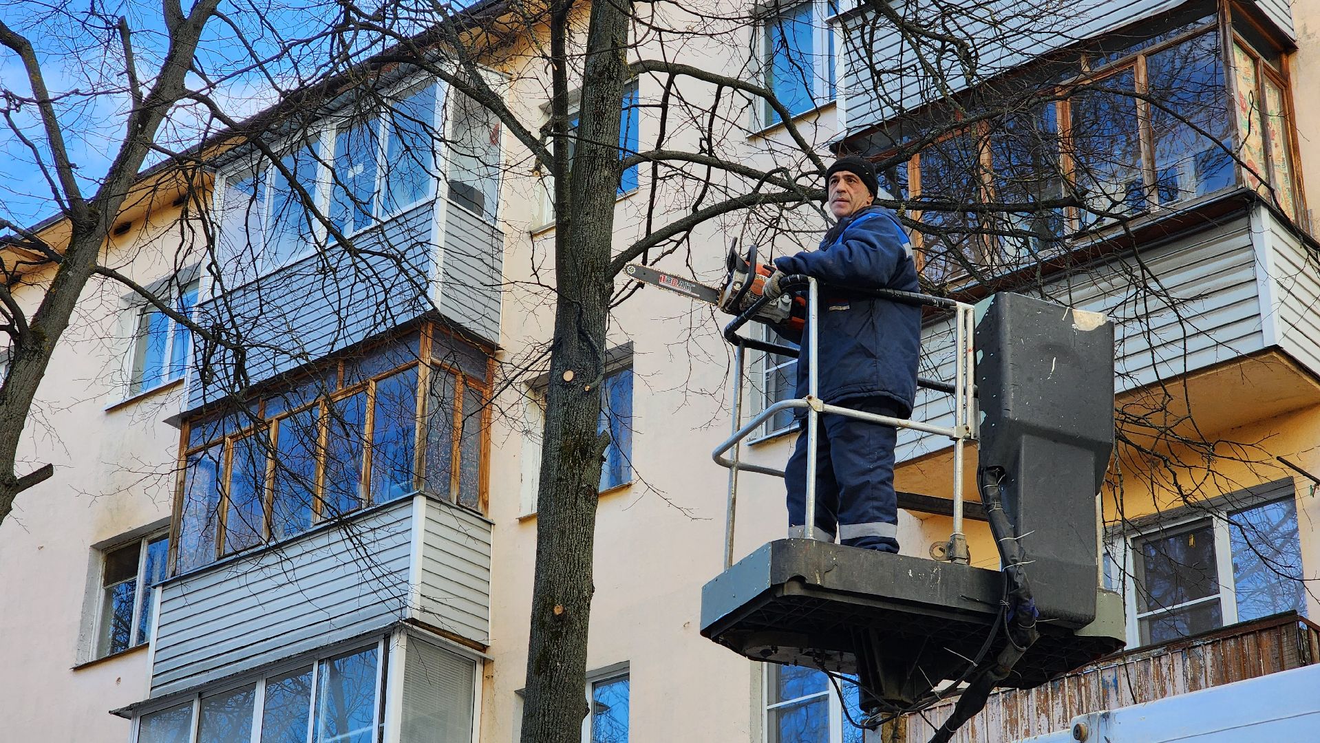 ступино, санитарная обрезка деревьев, благоустройство, вертикалки,