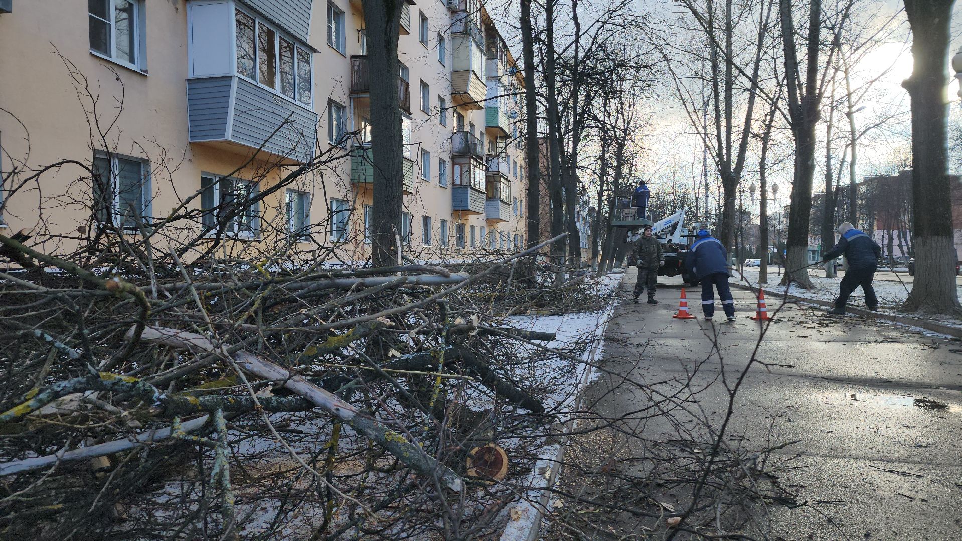 ступино, санитарная обрезка деревьев, благоустройство, вертикалки,