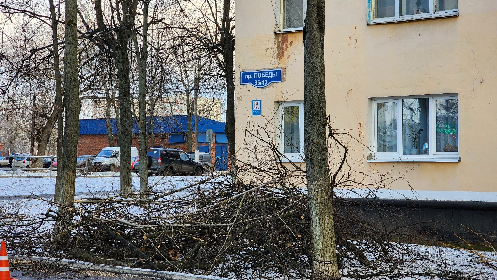 ступино, санитарная обрезка деревьев, благоустройство, вертикалки,