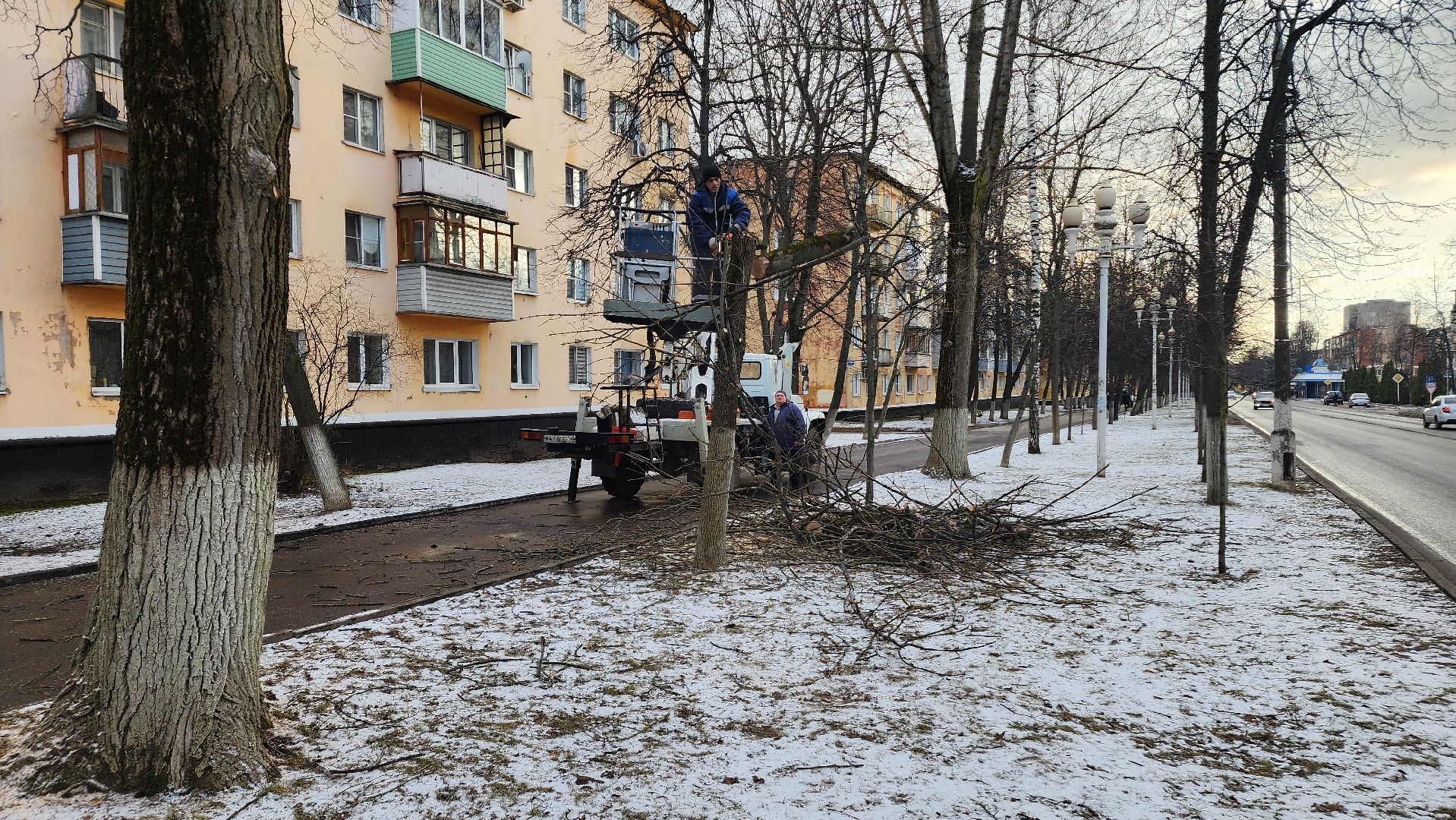 ступино, санитарная обрезка деревьев, благоустройство, вертикалки,