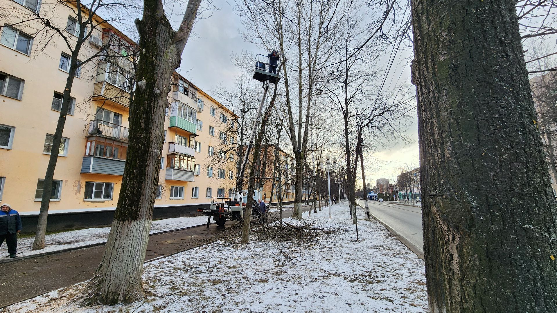 ступино, санитарная обрезка деревьев, благоустройство, вертикалки,