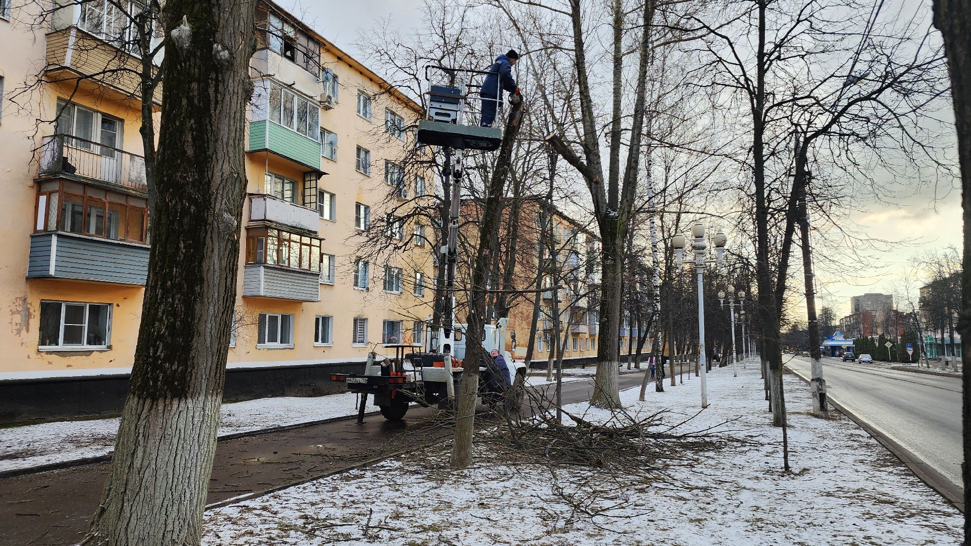 ступино, санитарная обрезка деревьев, благоустройство, вертикалки,