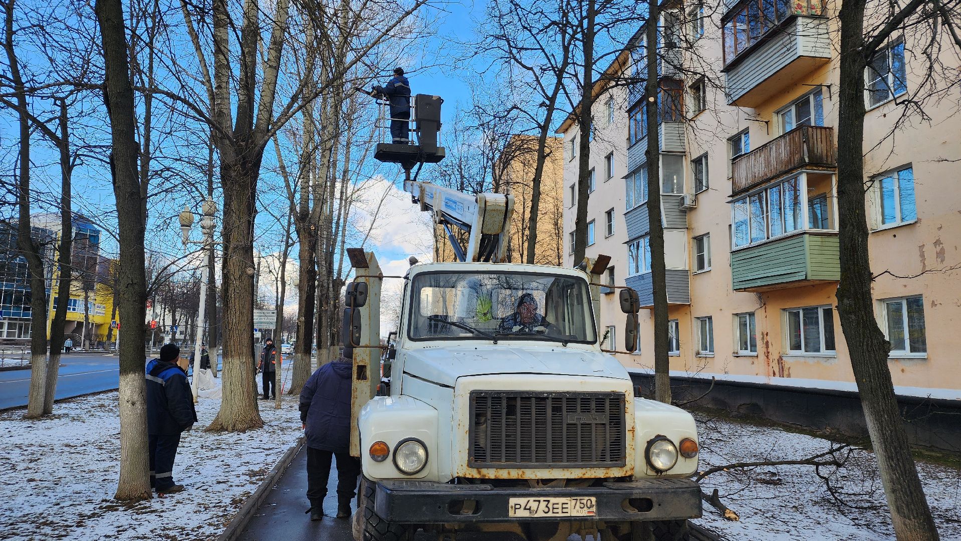 ступино, санитарная обрезка деревьев, благоустройство, вертикалки,