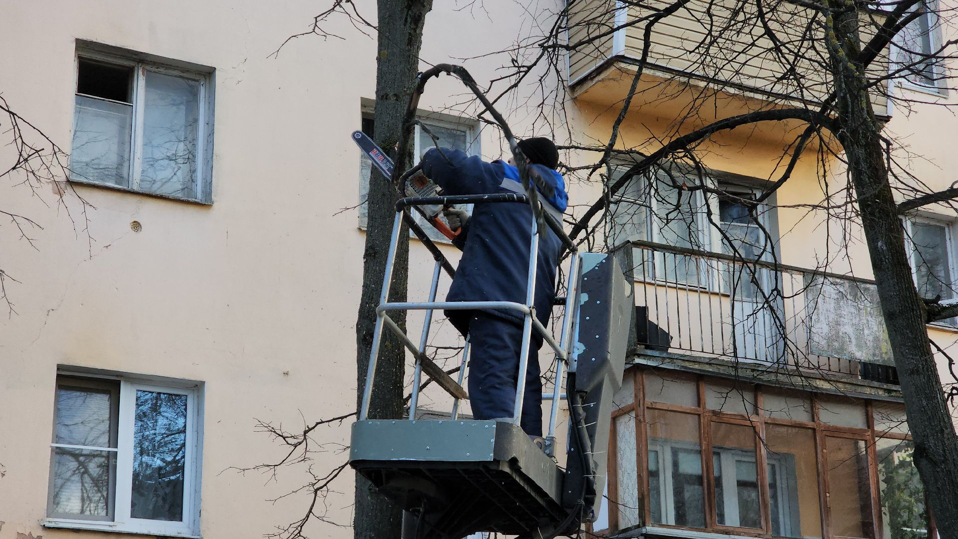 ступино, санитарная обрезка деревьев, благоустройство, вертикалки,