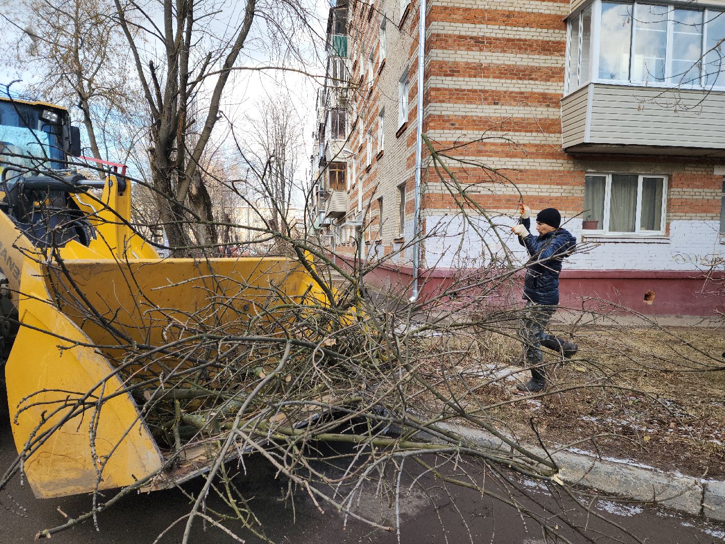 Подольск, Ук подольск, опиловка деревьев, уборка веток, вертикалки,