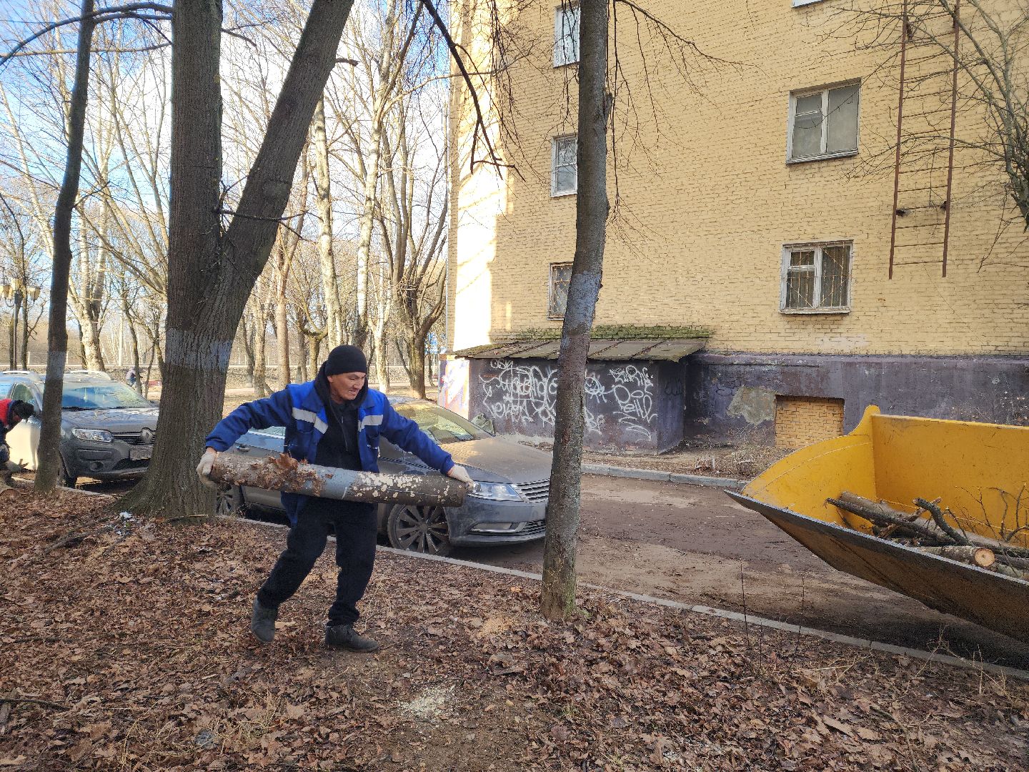 Подольск, Ук подольск, опиловка деревьев, уборка веток, вертикалки,