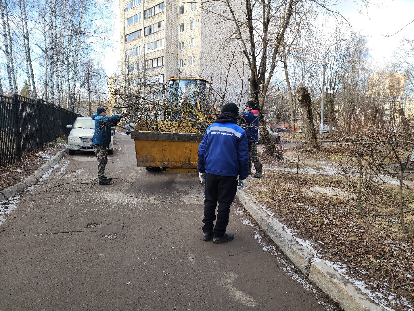 Подольск, Ук подольск, опиловка деревьев, уборка веток, вертикалки,