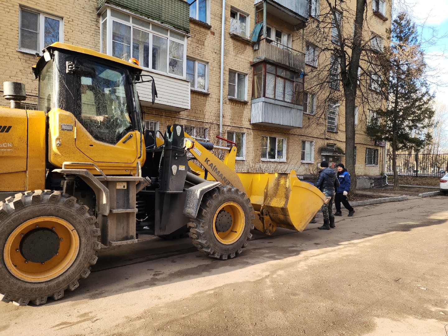 Подольск, Ук подольск, опиловка деревьев, уборка веток, вертикалки,