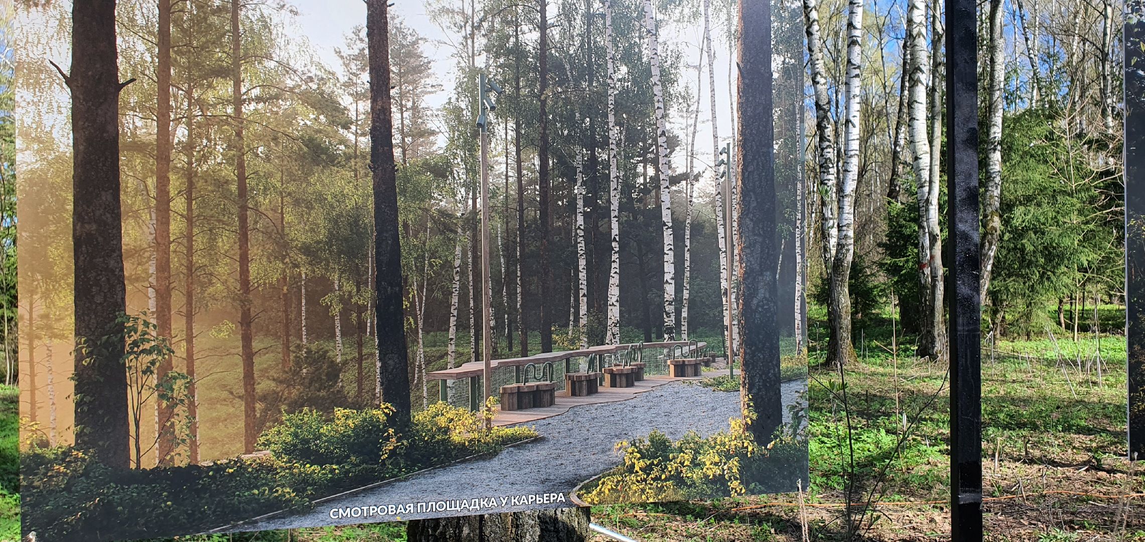 Парки Подмосковья, Парк Гальчино, Домодедово