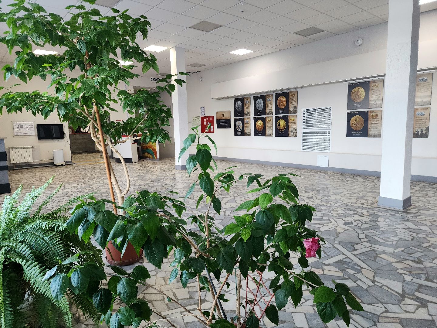 Пущино, серпухов, выставки,