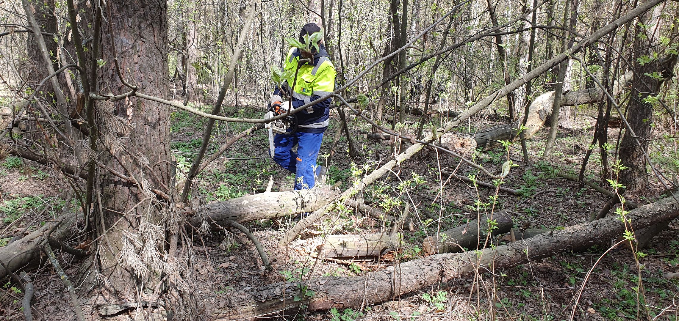 субботник, Кузьминский лесопарк, Котельники, уборка