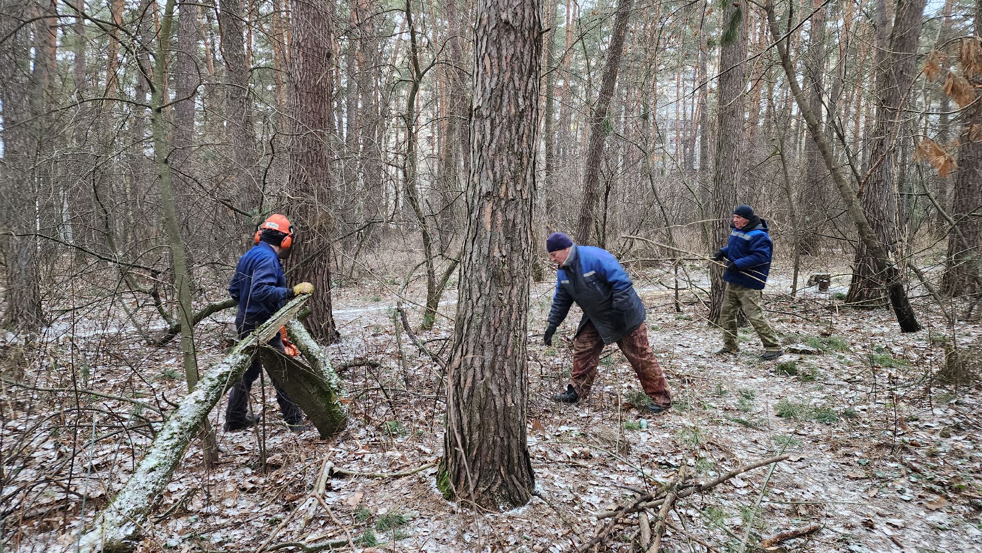 жкх, очистка леса, благоустройство, Протвино, комбинат благоустройства, вертикалки,
