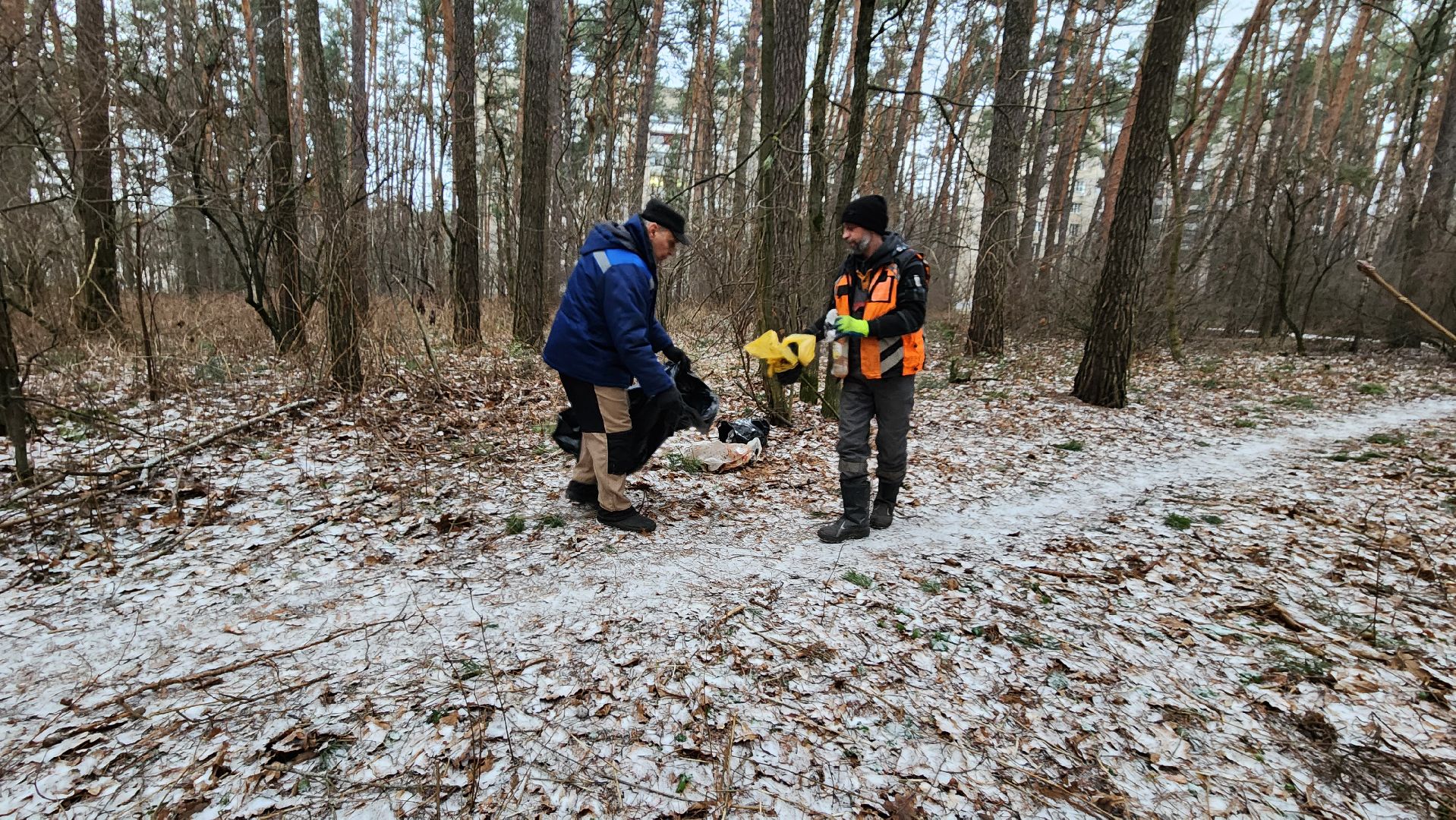 жкх, очистка леса, благоустройство, Протвино, комбинат благоустройства, вертикалки,