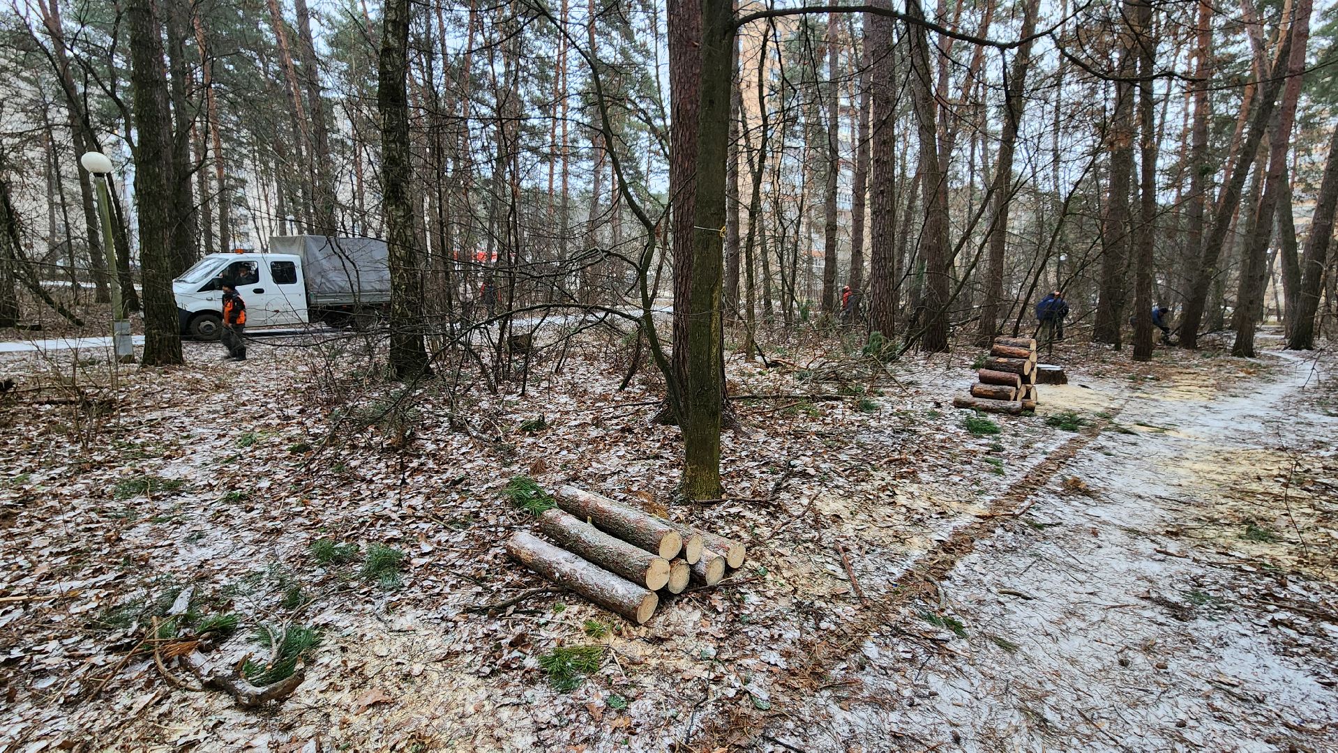 жкх, очистка леса, благоустройство, Протвино, комбинат благоустройства, вертикалки,