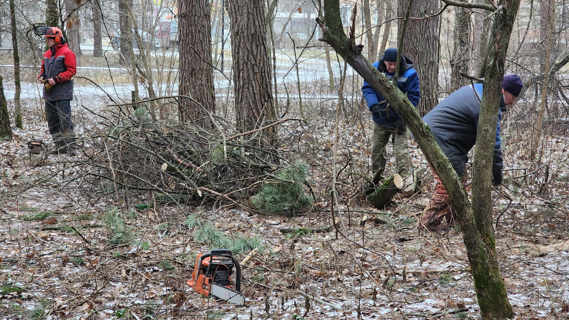 жкх, очистка леса, благоустройство, Протвино, комбинат благоустройства, вертикалки,