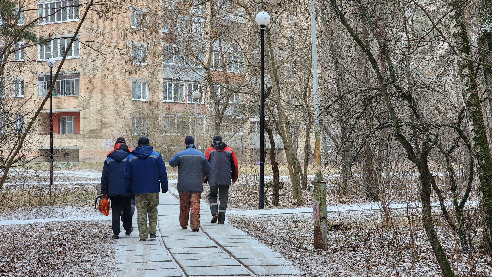 жкх, очистка леса, благоустройство, Протвино, комбинат благоустройства, вертикалки,