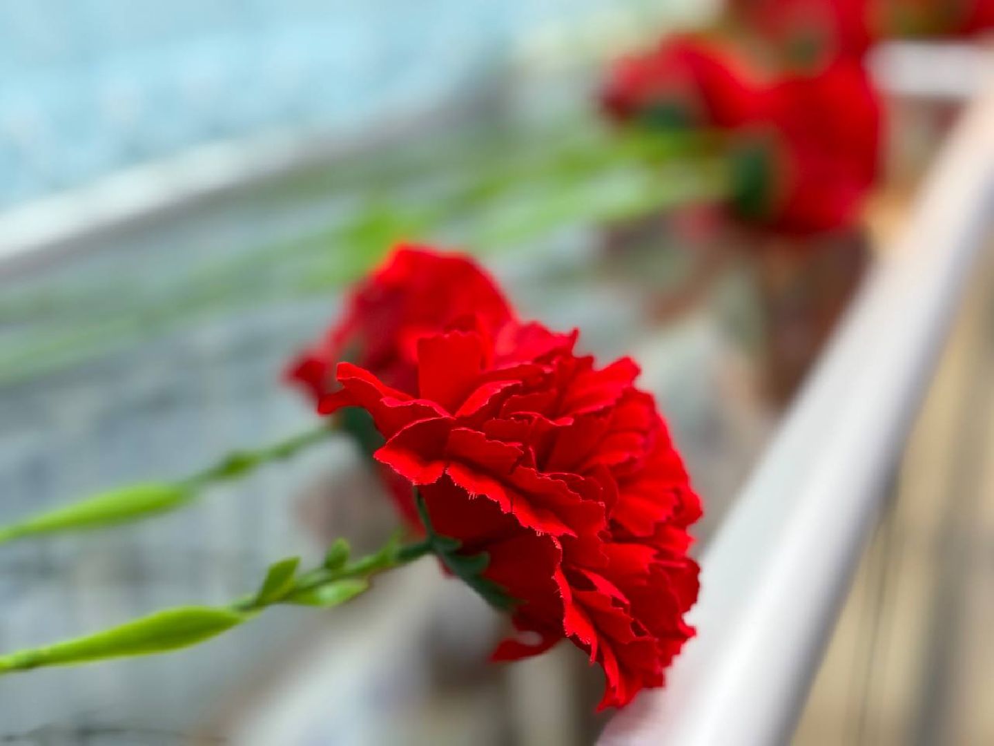 воскресенск, ветераны, медали,